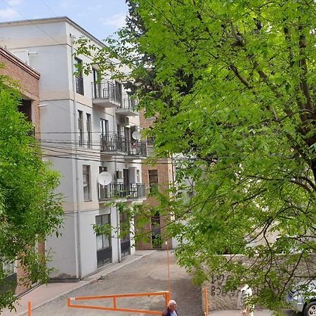 Nino'S Hotel On Tsamebuli 第比利斯 外观 照片